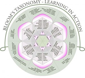 Bloom's Taxonomy