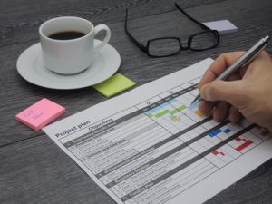 Inspecting and updating the project plan