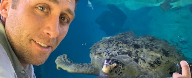 Philippe Cousteau
