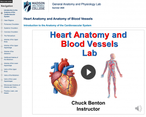 Introduction page of Madison Area Technical College's Heart Anatomy and Blood Vessels course in CourseArc