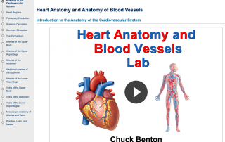 Introduction page of Madison Area Technical College's Heart Anatomy and Blood Vessels course in CourseArc