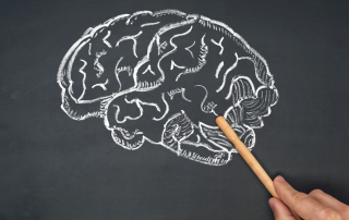 Hand pointing to chalk drawing of brain on chalkboard