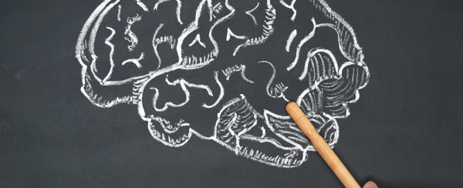Hand pointing to chalk drawing of brain on chalkboard