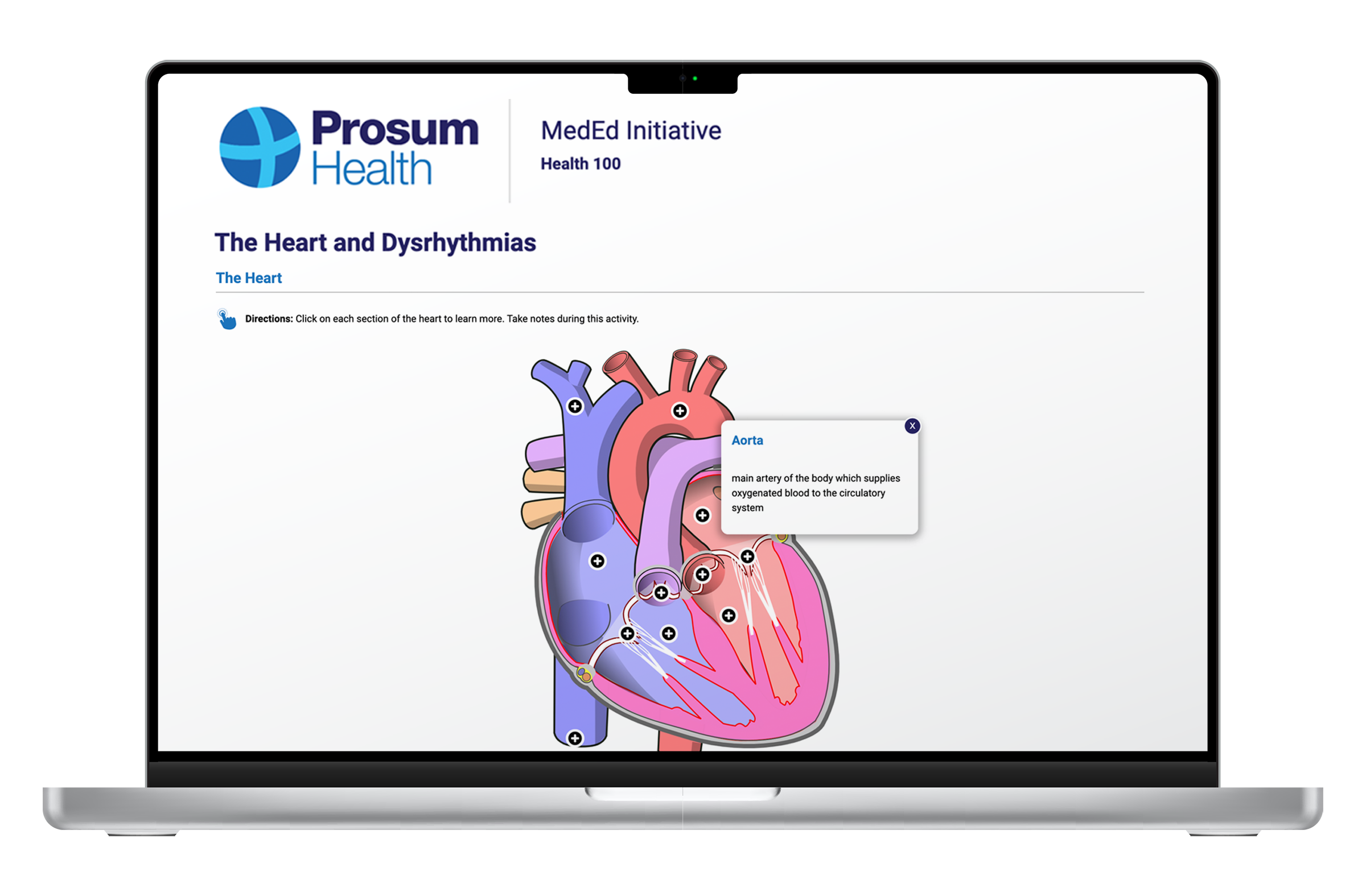 image of laptop showing heart and dysrhythmias content