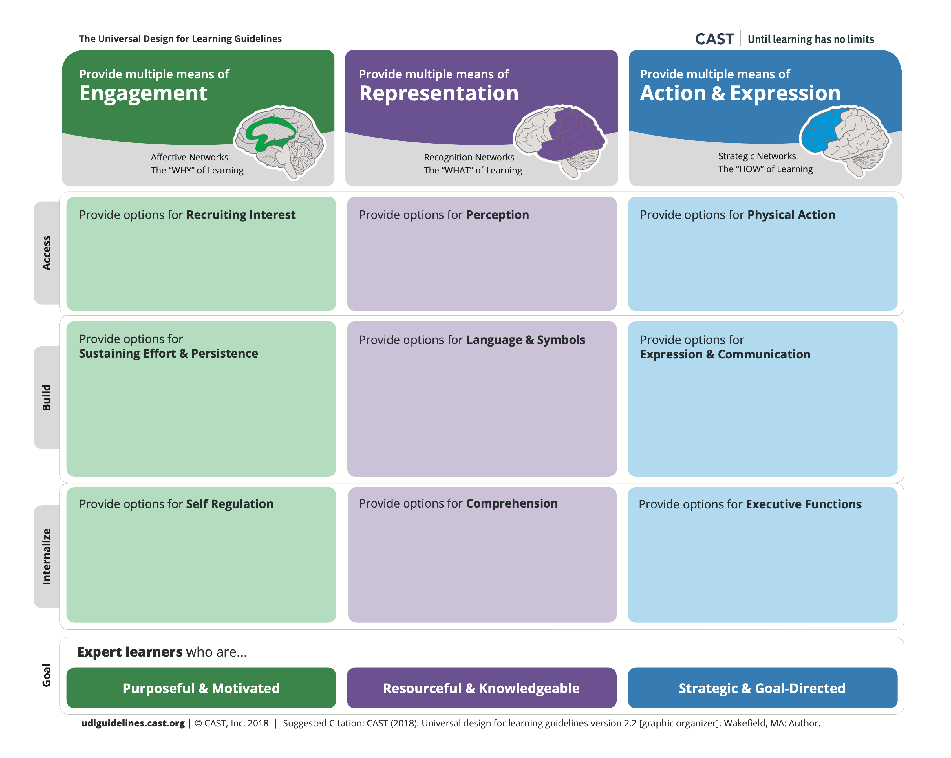 UDL Guidlelines grid